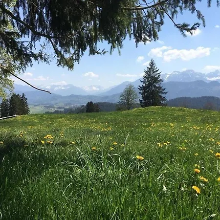 Small Park No 4 Будинок відпочинку