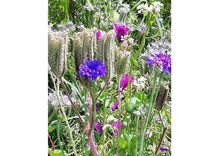 Small Park No 4 * Füssen